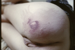 Naturaleza humana (galería)