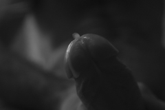 Naturaleza humana (galería)