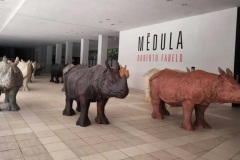 Sobreviviente Sobreviviente