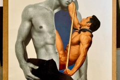COLLAGE-6-