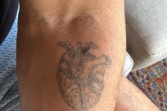 CORAZON-Y-CEREBRO-