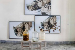 PHOTO-2025-12-01-14-06-34-9