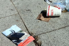 Restos de la Feria de San Isidro.