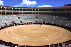 El ruedo de Las Ventas es el segundo más grande del mundo con 60 metros de diámetro.