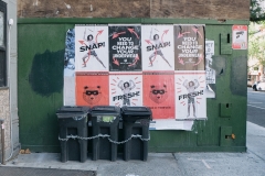 Brooklyn (14)