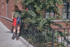 Brooklyn (20)
