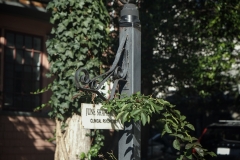 Brooklyn (21)