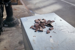 Brooklyn (6)
