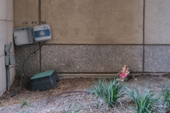 Brooklyn (8)