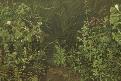 Hortus Conclusus, 2016
