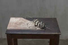 El ojo del relojero, 2014