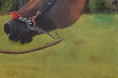 Cabeza de caballo II, 2016
