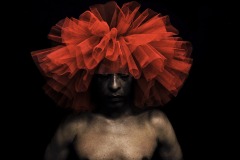 ‘Tutú’, 2008