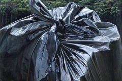 Antagonismo, 2015