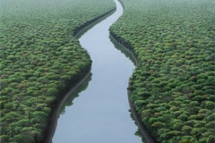 El río va, 2020