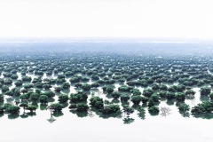 Inundación, 1993