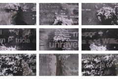 Words Off, de la serie Museum Traces