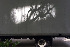 Cast on Wheels, de la serie Race Crop Off