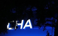 ChaChaCha, de la serie Race Crop Off