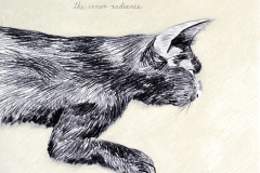 The inner radiance, 2024