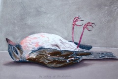 The ending of the known, 2022