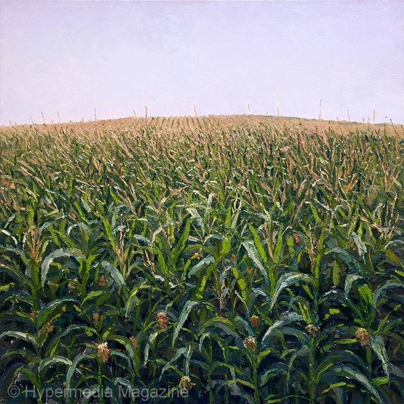 Pennsylvania Corn Field, 2016