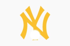 5127758457263466777_121
