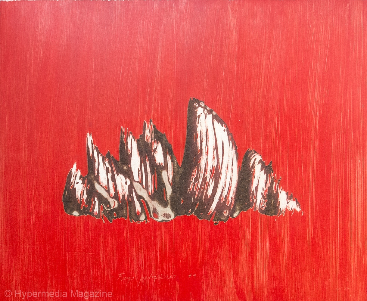 Fuego petrificado (4)