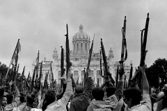 CENIZAS-DE-REVOLUCIONES-IMAGEN-ACOMPANANTE