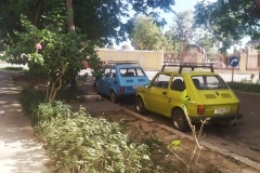 Yo lo que quiero es un Polski para llevarte a pasear