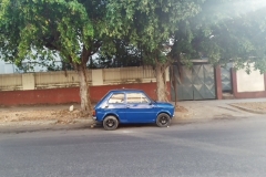 Yo lo que quiero es un Polski para llevarte a pasear