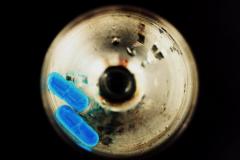 Entre espada y San Francisco