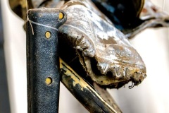 PHOTO-2025-12-01-14-06-34-2