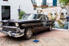 PHOTO-2025-12-01-14-06-34-35