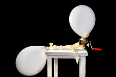 PHOTO-2026-01-19-16-25-31-3