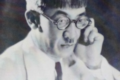 6-Foujita y el Bobo de Abela