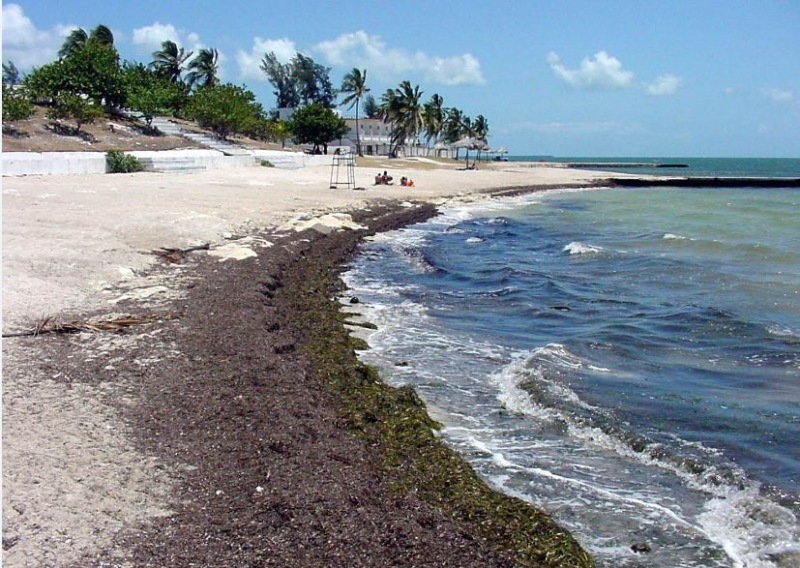 Caibarién, crónicas del desastre (I)