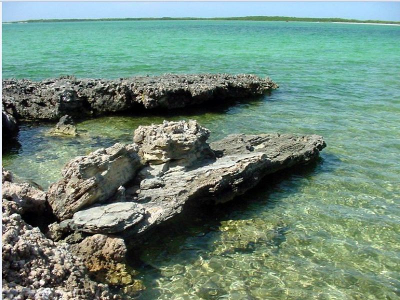 Caibarién, crónicas del desastre (IV)