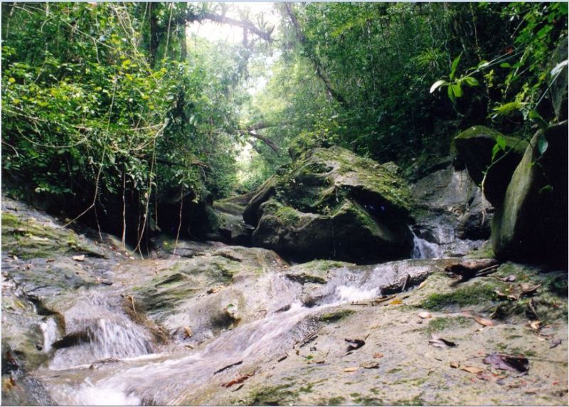 Caibarién, crónicas del desastre (IV)