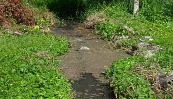 Zona vecinal inundada por laguna de oxidación cercana