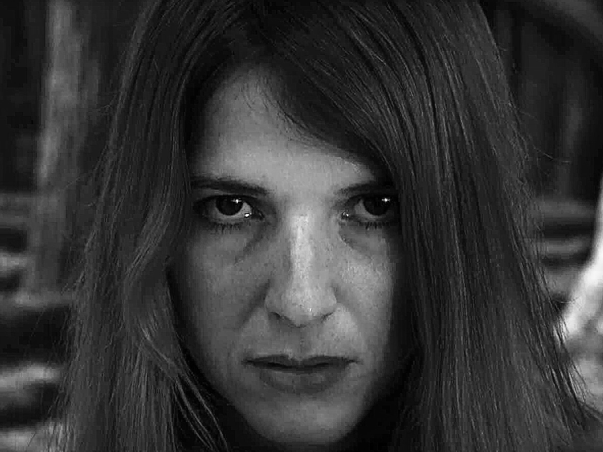 Elena, la terrorista de Corazón azul - Lynn Cruz