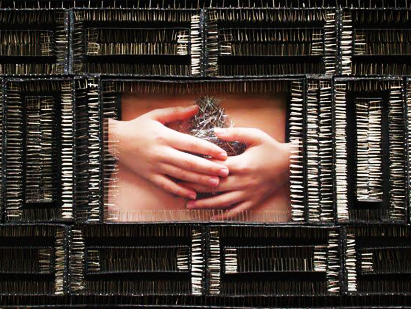 Lidzie Alvisa Las trampas del interior 2, 2008. Fotografía, acrílico y alfileres. 80 x 120 cm Imagen cortesía de la artista