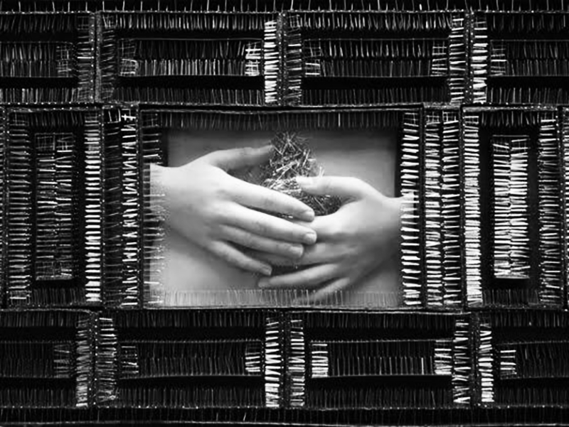 Lidzie Alvisa Las trampas del interior 2, 2008. Fotografía, acrílico y alfileres. 80 x 120 cm Imagen cortesía de la artista
