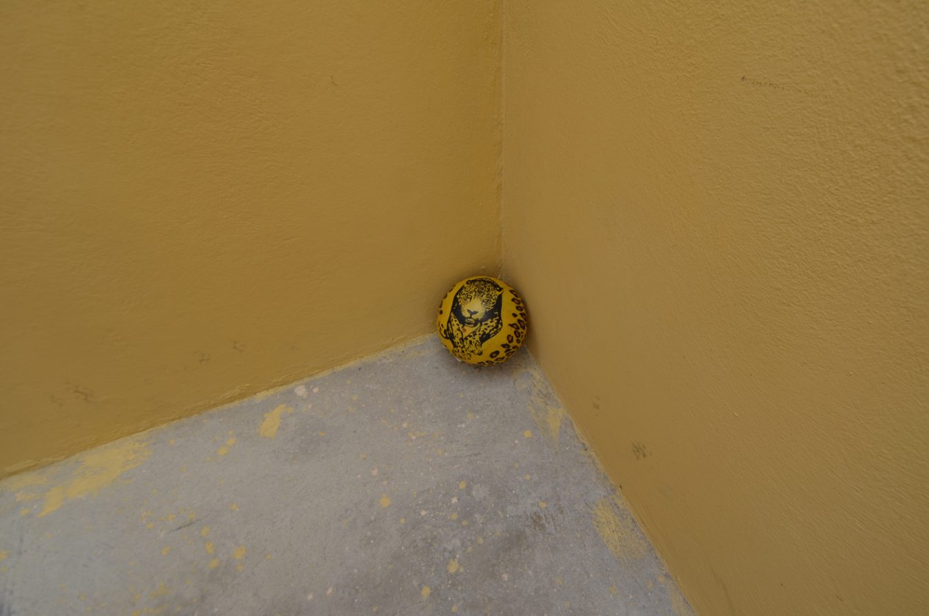 Orestes Hernández “Soy parte del descalabro” François Vallée