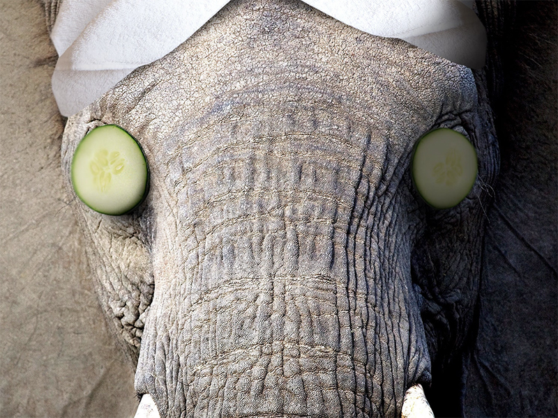 siete-habitos-cardiosaludables-para-vivir-seis-anos-mas