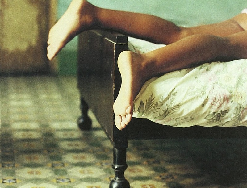 la-danza-de-los-abanicos-like-carmen-duarte