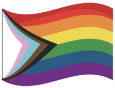 Las historias detrás de las 23 banderas LGBTQ+