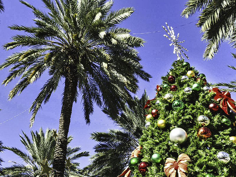 tradiciones-navidenas-unicas-en-el-sur-de-florida