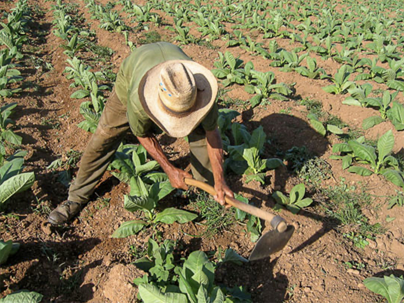 funcionarios-de-agricultura-de-estados-unidos-ven-oportunidades-de-inversion-en-cuba