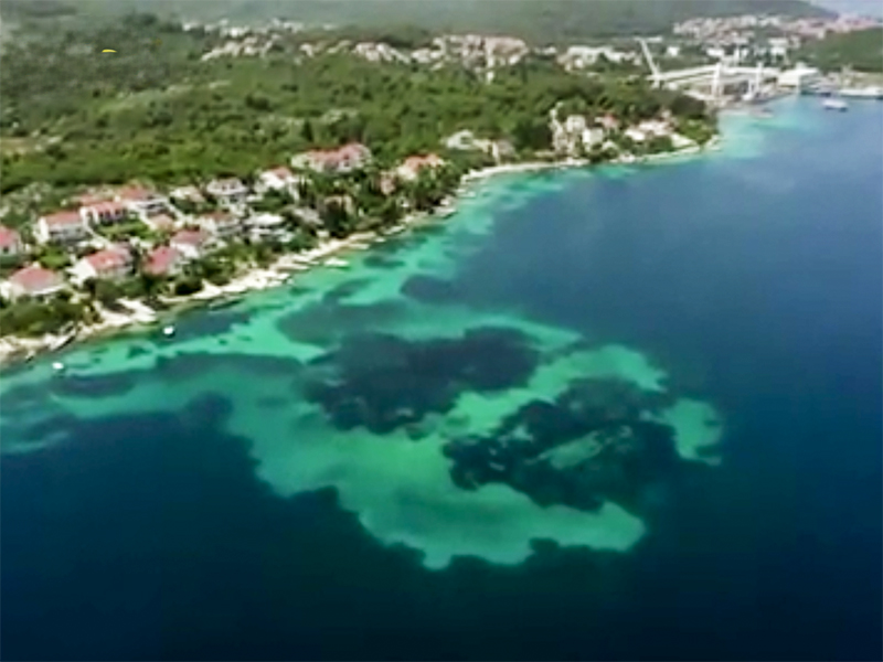 una-ciudad-submarina-mas-antigua-que-las-piramides-aparece-en-cuba